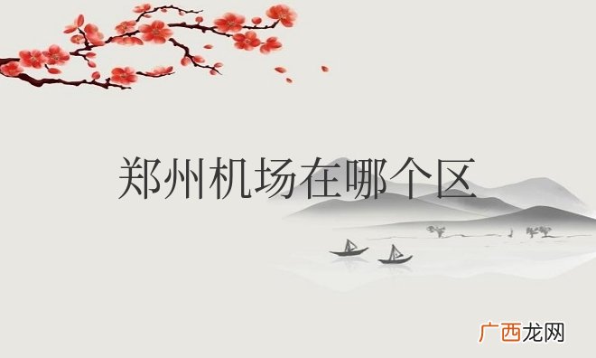 新郑机场位于郑州市新郑区 郑州机场在哪个区什么位置