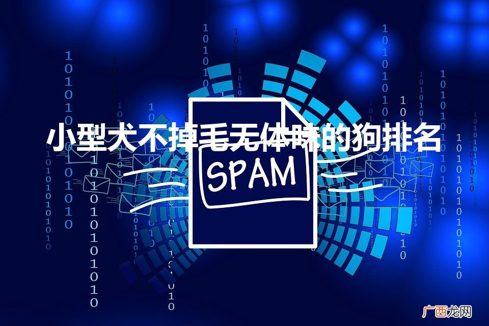 最干净最好养的小型犬 小型犬不掉毛无体味的狗排名