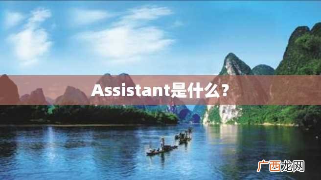 Assistant是什么?