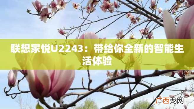 联想家悦U2243：带给你全新的智能生活体验