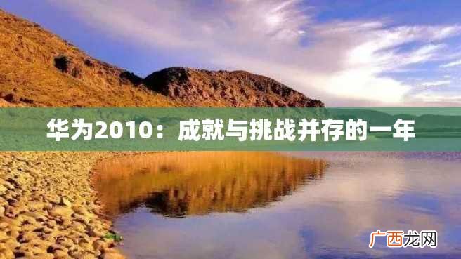 华为2010：成就与挑战并存的一年