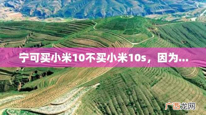 宁可买小米10不买小米10s，因为...