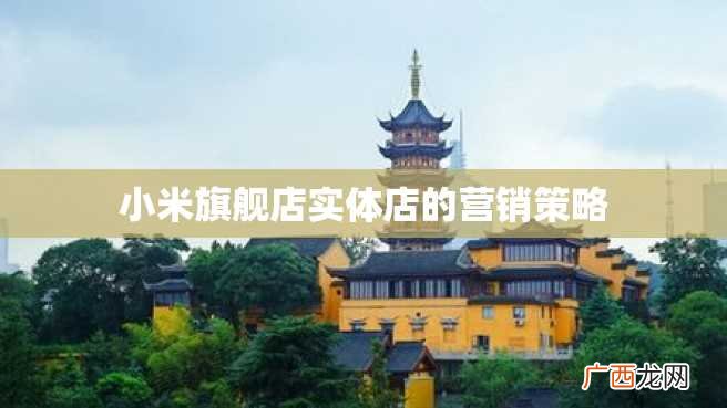 小米旗舰店实体店的营销策略