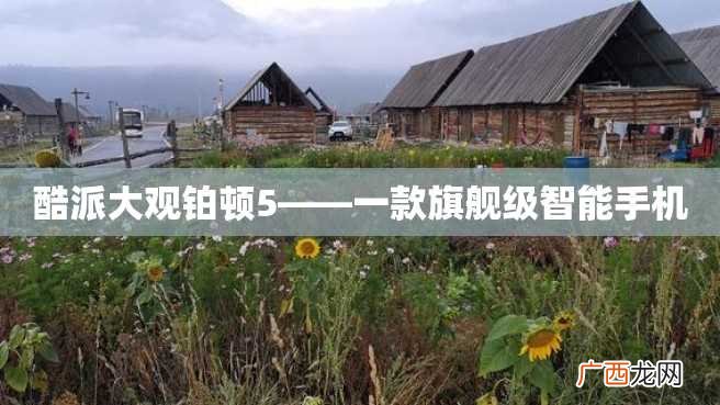 酷派大观铂顿5——一款旗舰级智能手机