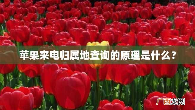 苹果来电归属地查询的原理是什么?