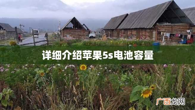 详细介绍苹果5s电池容量
