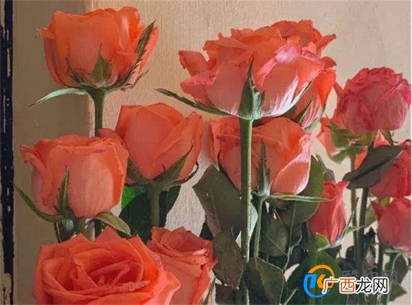 撩男人 不要对他做这两件事 否则他不仅不会靠近你 还会疏离你