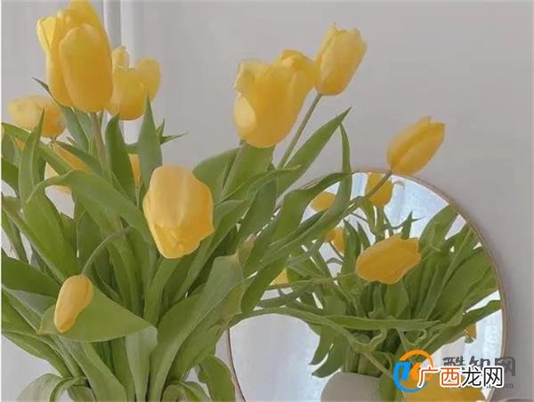撩男人 不要对他做这两件事 否则他不仅不会靠近你 还会疏离你