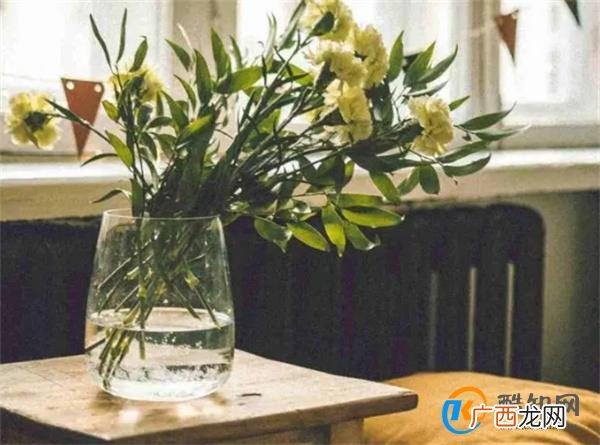 室内的灰尘总是清扫不干净？教你7招，省时省事，除尘很轻松！