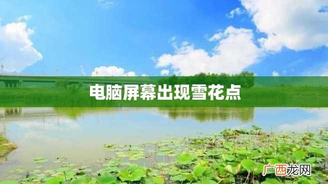 电脑屏幕出现雪花点