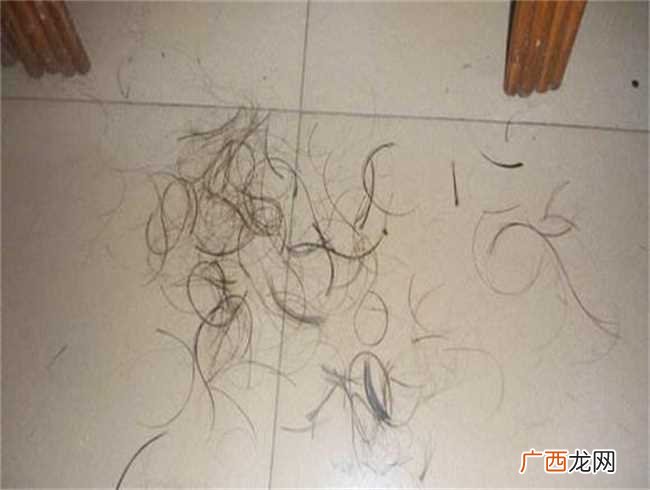 怎么清理地面上的头发平时的生活中 如何清理地面上的头发
