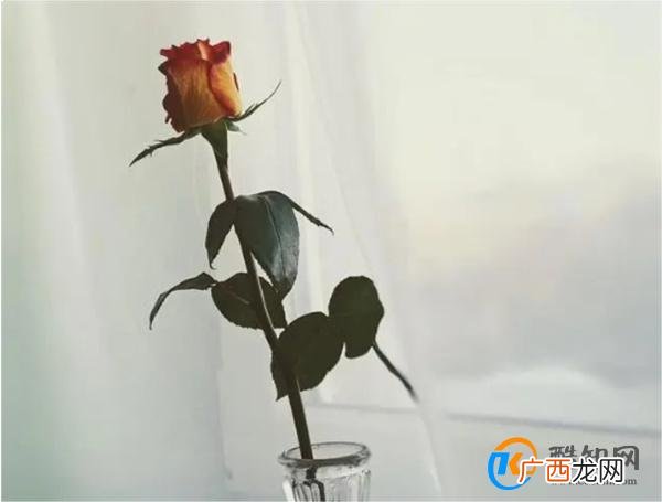 男人对你“摇摆不定”的时候 记住这两点 他会舍不得离开你