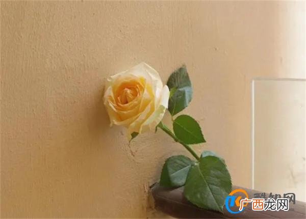 男人对你“摇摆不定”的时候 记住这两点 他会舍不得离开你