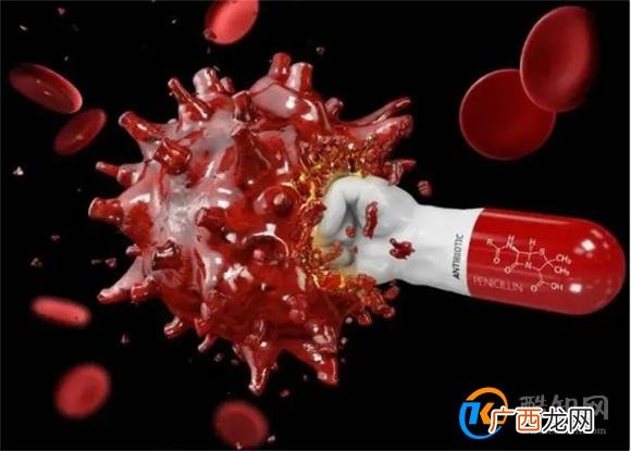癌细胞“喜欢”吃糖还是蛋白质 或许对此你并不了解 本文告诉你