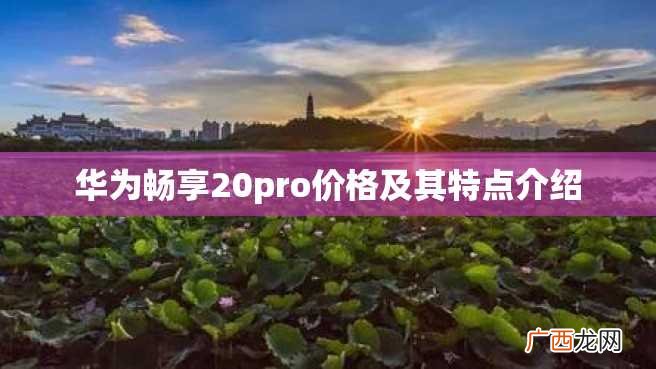 华为畅享20pro价格及其特点介绍