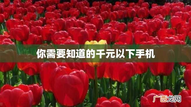 你需要知道的千元以下手机