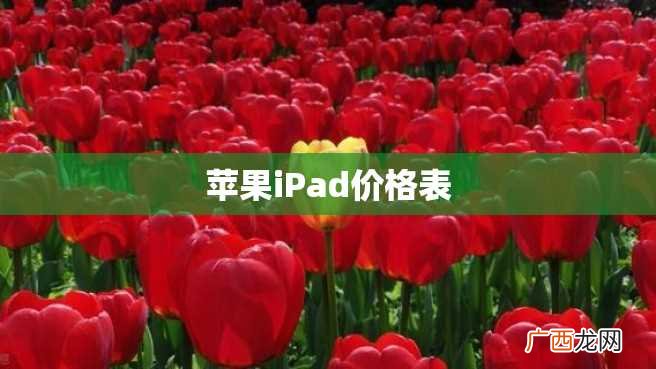 苹果iPad价格表