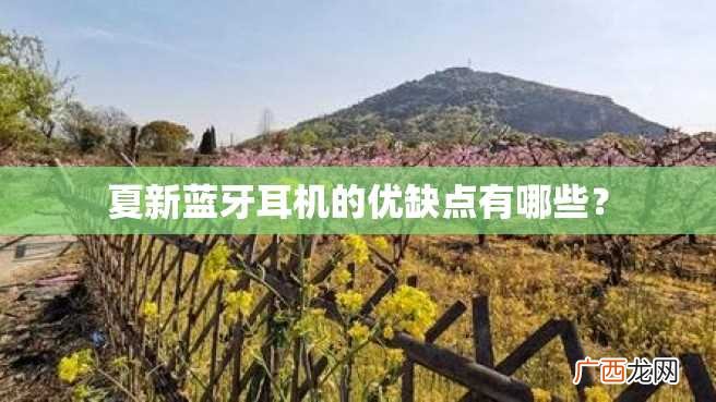 夏新蓝牙耳机的优缺点有哪些?
