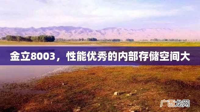 金立8003，性能优秀的内部存储空间大