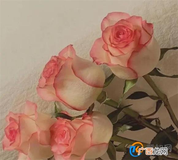再爱一个男人，也不要做这两件事，他不仅不会珍惜你，还会厌倦你