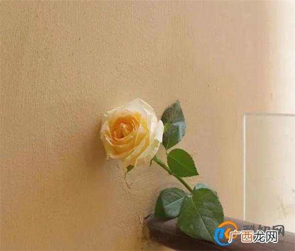 再爱一个男人，也不要做这两件事，他不仅不会珍惜你，还会厌倦你