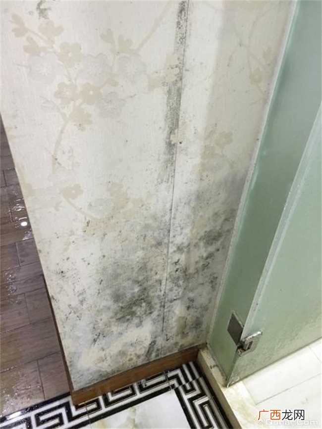怎么去除家里异味拥有清新空气
