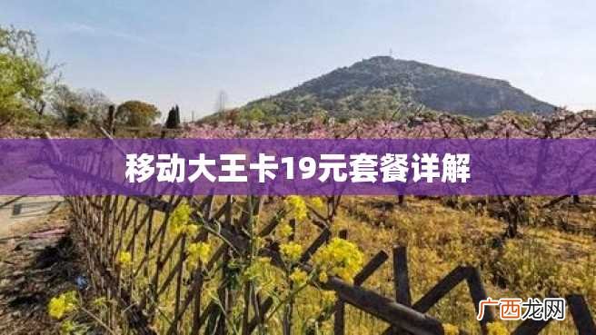 移动大王卡19元套餐详解