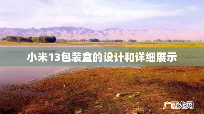 小米13包装盒的设计和详细展示