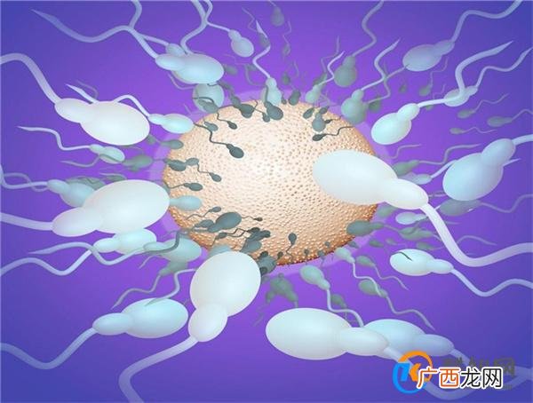 科学家称 精子运动违背牛顿第三定律 这种现象被称之为什么_酷知科普
