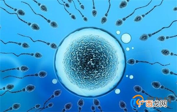科学家称 精子运动违背牛顿第三定律 这种现象被称之为什么_酷知科普