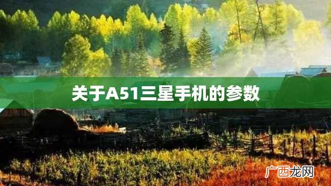 关于A51三星手机的参数