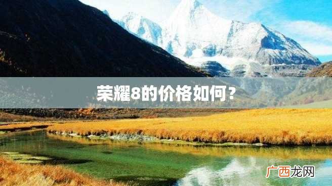 荣耀8的价格如何？