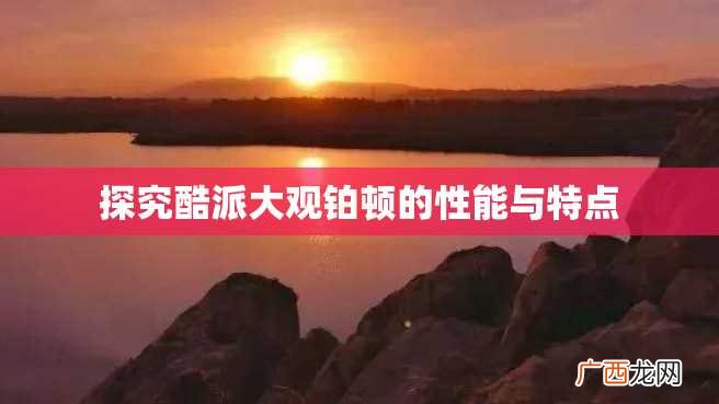 探究酷派大观铂顿的性能与特点