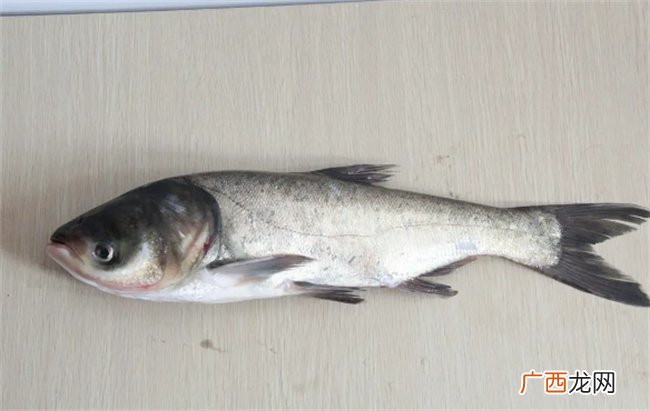 ?鳙鱼营养价值高吗 鳙鱼营养价值与功效
