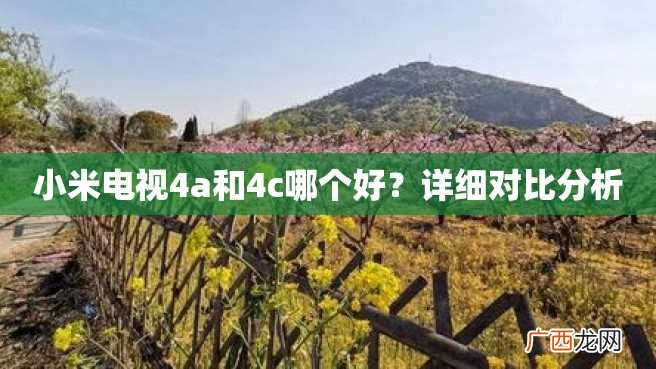小米电视4a和4c哪个好？详细对比分析