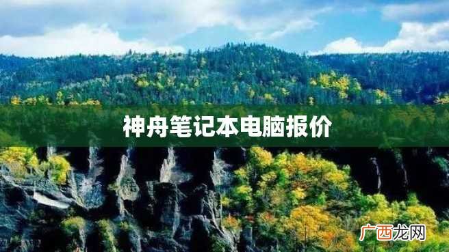 神舟笔记本电脑报价