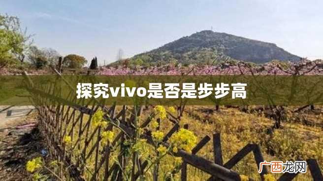 探究vivo是否是步步高