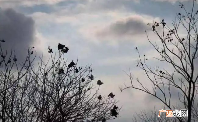 ?念天地之悠悠独怆然而涕下出自哪念天地之悠悠 独怆然而涕下是什么