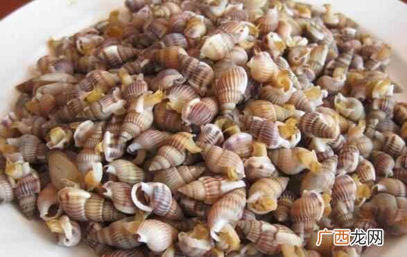 海螺丝怎么煮