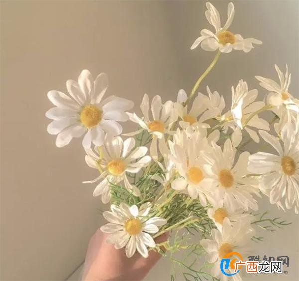 层次越高的男人，若打心底怕失去你，他越会对你做“这两件事”