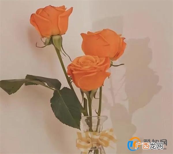 层次越高的男人，若打心底怕失去你，他越会对你做“这两件事”