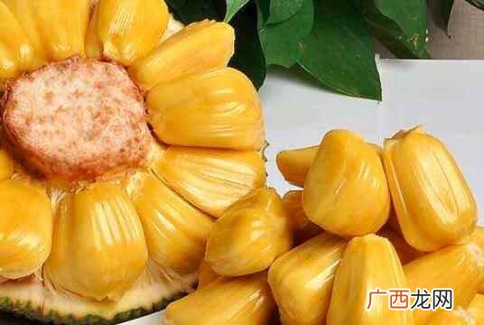 菠萝蜜是什么季节的水果