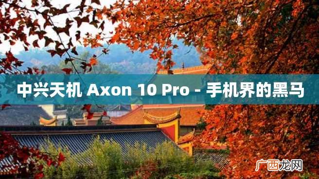 中兴天机 Axon 10 Pro - 手机界的黑马