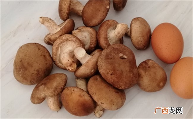 新鲜香菇需要泡吗新鲜香菇炖久了还有营养吗
