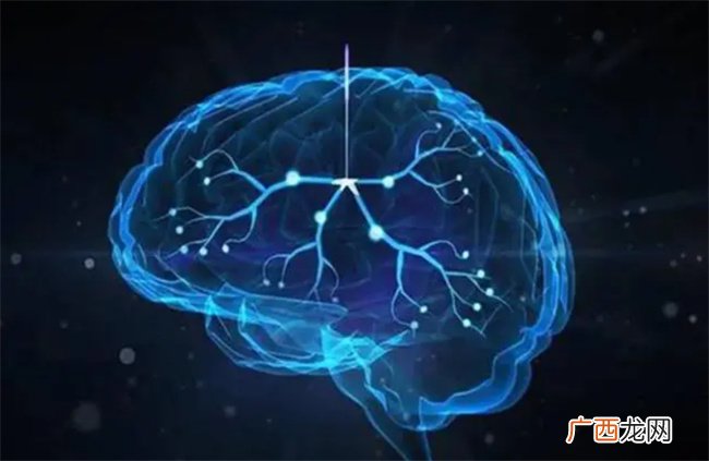 孩子大脑发育的黄金密码 运动居首位 第二位你想不到
