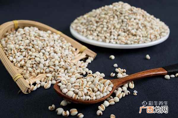 薏米怎么吃除湿效果好