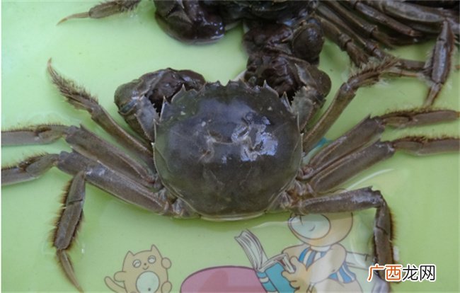 ?螃蟹死多久不能食用 螃蟹死多久不能食用