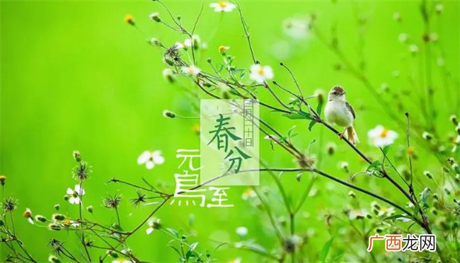 ?春分节气的特点和风俗 春分节气后面是什么节气