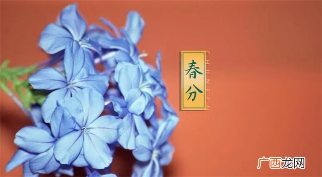 ?春分节气的特点和风俗 春分节气后面是什么节气