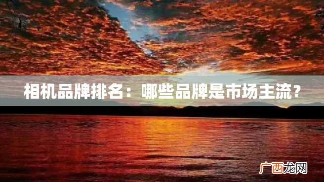 相机品牌排名：哪些品牌是市场主流？
